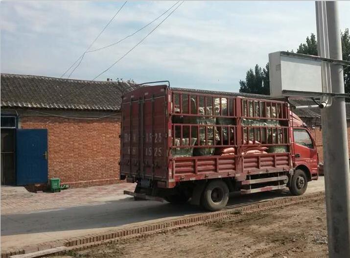 发货案例